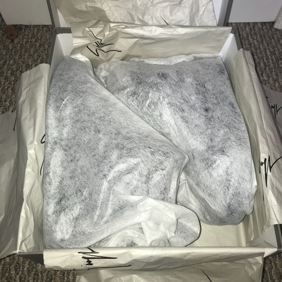 Giuseppe Zanotti - Picture 4 of 8